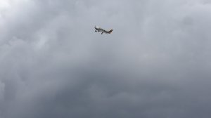 2018-08-24_FVC_AWF-051