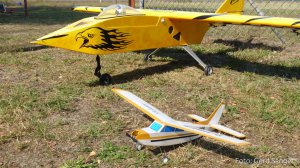 AWF2019Web-002