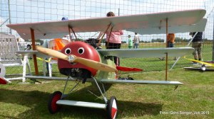 2015 Schwarme Fun&Fly