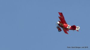 2015 Schwarme Fun&Fly