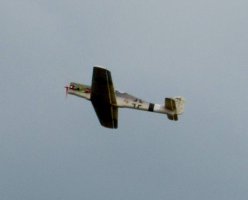 Sternis-Focke-Wulf FW190D im Flug